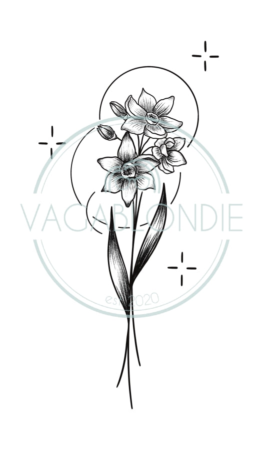 December Birth Flower - Narcissus Paperwhite