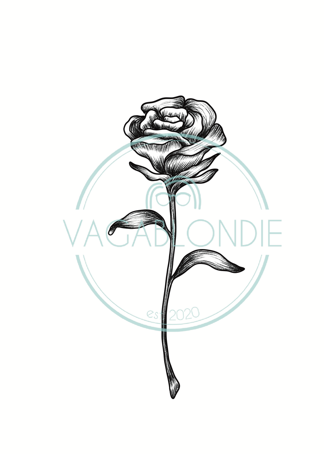 Cancer Zodiac Flower Tattoo Download - White Rose